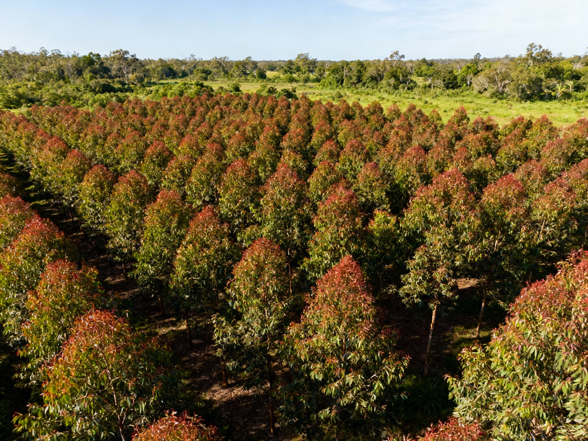 Recent Commercial Real Estate Transactions